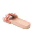 Zinia (Slider)
