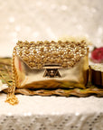 Aamya (Bag)