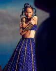 Aparna Blue (Lehenga)
