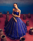Aparna Blue (Lehenga)