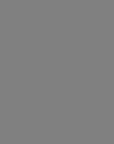 Silver Peacock (Jutti)