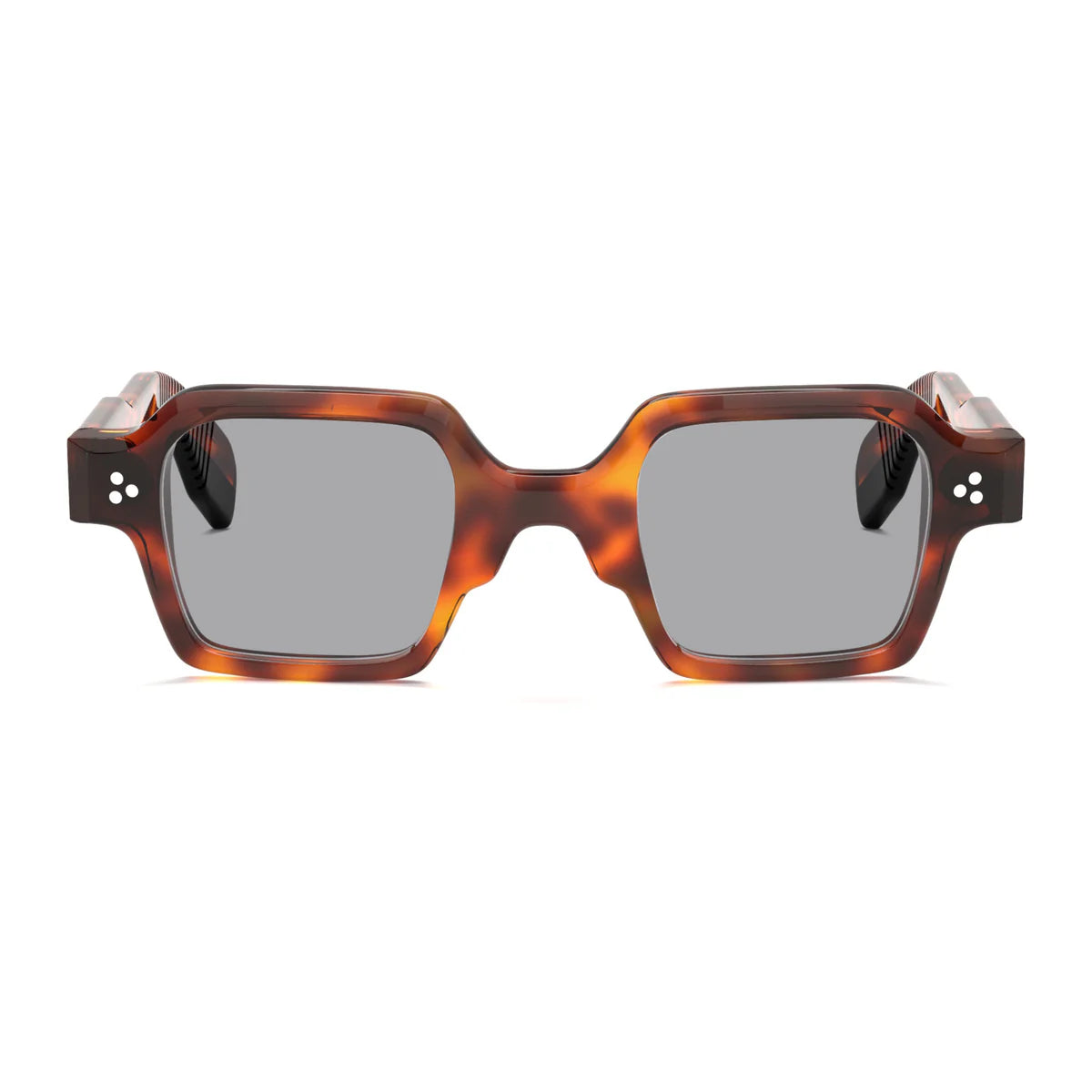 Davos Sunglasses - Tortoise/ L