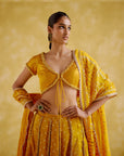 Aparna Yellow (Lehenga)
