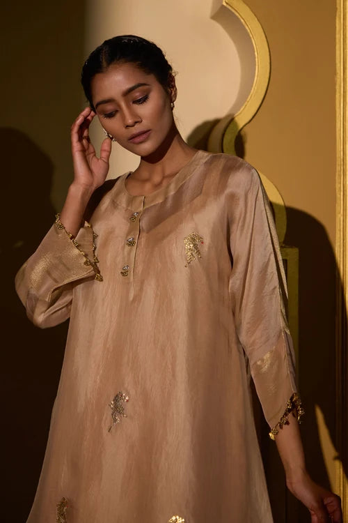 Parinda Kurta Set In Beige