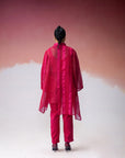 Ananyata Mandarin V- Neck Kurta